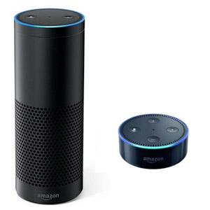 NEO Plugin amazon echo